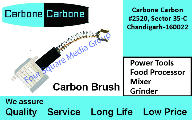 Carbon Brushes