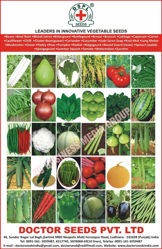 Vegetable Seeds, Beans Seeds, Beet Root Seeds, Bhindi Seeds, Okra Seeds, Bittergourd Seeds, Bottlegourd Seeds, Brinjal Seeds, Broccoli Seeds, Cabbage Seeds, Capsicum Seeds, Carrot Seeds, Cauliflower Seeds, Chilli Seeds, Chilly Seeds, Cluster Bean Seeds, Guwar Bean Seeds, Cucumber Seeds, Gobi Saron Saag Seeds, Knol Khol Seeds, Long Melon Seeds, Muskmelon Seeds, Onion Seeds, Paddy Seeds, Peas Seeds, Pumpkin Seeds, Radish Seeds, Ridgegourd Seeds, Round Gourd Seeds, Tinda Seeds, Spinach Seeds, Palak Seeds, Spongegourd Seeds, Summer Squash Seeds, Tomato Seeds, Watermelon Seeds, Zucchini Seeds