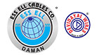 Ess Ell Cables Co.