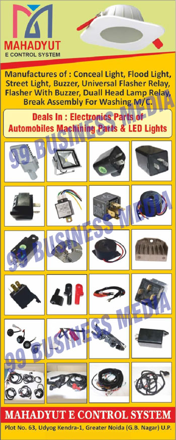 Conceal Lights, Flood Lights, Street Lights, Buzzers, Universal Flasher Relays, Flashers, Duall Head Lamp Relays, Washing Machine Break Assemblies, Automobiles Machining Parts, Led Lights