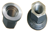 Auto Wheel Nuts manufacturer