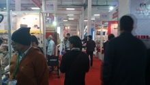 Auto Expo 2014, Delhi