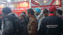 Auto Expo 2014, Delhi