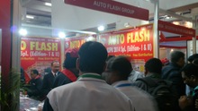 Auto Expo 2014, Delhi