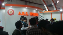 Auto Expo 2014, Delhi