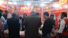 Auto Expo 2014, Delhi