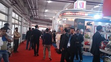 Auto Expo 2014, Delhi