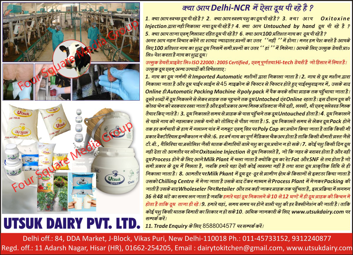 Dairy Products, Cow Milks, Dahi, Curd